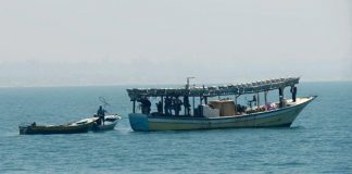 «التغير المناخي» توفر منظومة شاملة لدعم الصيادين المواطنين الصيد في الامارات