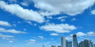 غابات في المدن لمناخ معتدل غابات في المدن