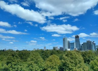 غابات في المدن لمناخ معتدل غابات في المدن