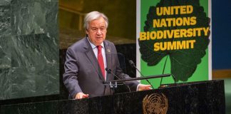 قادة دول العالم يحشدون الجهود في قمة التنوع البيولوجي قمة التنوع البيولوجي