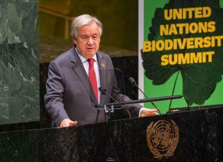 قادة دول العالم يحشدون الجهود في قمة التنوع البيولوجي قمة التنوع البيولوجي