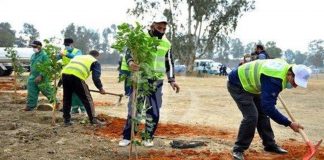 الجزائر تطلق مبادرة بوجه حرائق الغابات حملة تشجير