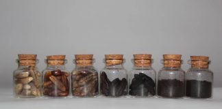 «جذور».. مشروع طلابي لصناعة منتجات بيئية من بذور النخيل جذور مشروع بذور التمور.