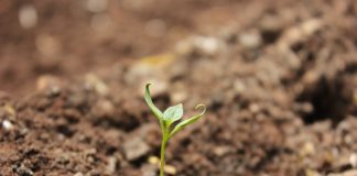 ارتفاع انبعاثات حمض النيتروز في التربة يُسرّع من تلوث الأوزون العالمي التربة