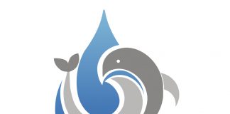 مؤتمر الفجيرة الدولي الثالث للبيئة البحرية والسواحل 2020 مؤتمر الفجيرة الدولي الافتراضي الثالث للبيئة البحرية والسواحل 2020