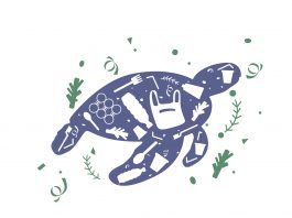 فيديو: المايكروبلاستيك والنفايات البلاستيكية