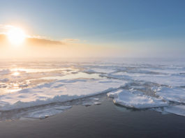 نموذج جديد للتنبؤ بجليد القطب الشمالي ينذر بفقدانه
