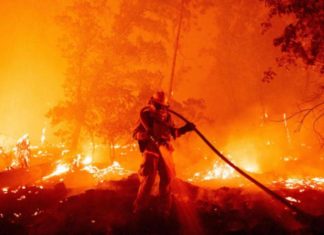 2020 السنة المتطرفة بيئياً حرائق الغابات