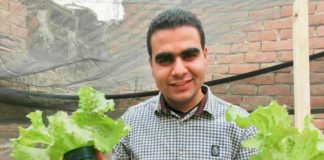 شاب مصري يحول الأسطح لحدائق نباتية أحمد رجب صيام