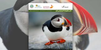 العدد الثالث والسبعون من نشرة “النافذة الخضراء”