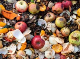 900 مليون طن من الطعام ترمى في النفايات سنويا هدر الغذاء