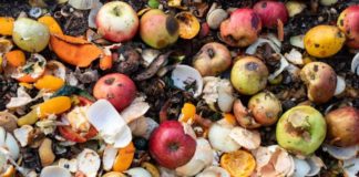 900 مليون طن من الطعام ترمى في النفايات سنويا هدر الغذاء