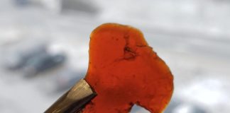 ابتكار مادة بلاستيكية صديقة للبيئة من مخلفات الأسماك مخلفات الأسماك