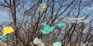 نفايات كورونا تدمر الحياة البرية والبحرية