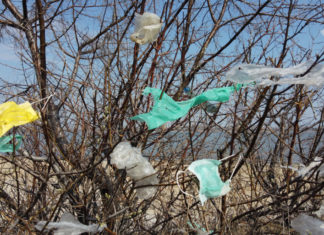 نفايات كورونا تدمر الحياة البرية والبحرية