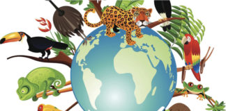 التنوع البيولوجي ما نبصره وما لا نبصره