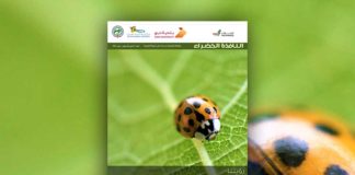 العدد السابع والسبعون من نشرة “النافذة الخضراء”