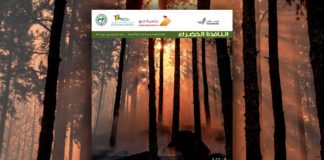 العدد التاسع والسبعون من نشرة “النافذة الخضراء”