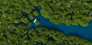 «محمية جزر فرسان» تنضم لبرنامج الإنسان والمحيط الحيوي في «اليونيسكو»