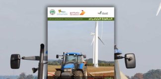 العدد الحادي والثمانون من نشرة “النافذة الخضراء”