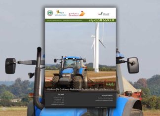 العدد الحادي والثمانون من نشرة “النافذة الخضراء”