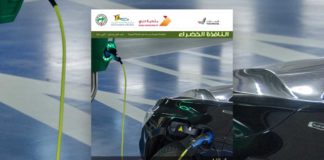 العدد الثاني والثمانون من نشرة “النافذة الخضراء”