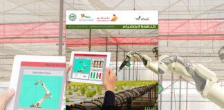 العدد الثالث والثمانون من نشرة “النافذة الخضراء”