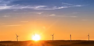 الإمارات تطلق برنامجاً لتمويل مشاريع الطاقة المتجددة في إفريقيا