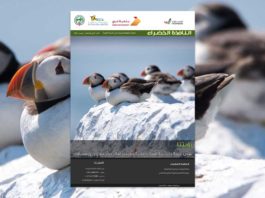 العدد الرابع والثمانون من نشرة “النافذة الخضراء” النافذة الخضراء