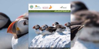 العدد الرابع والثمانون من نشرة “النافذة الخضراء” النافذة الخضراء