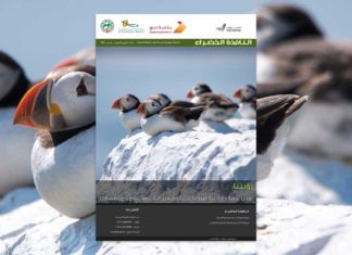 العدد الرابع والثمانون من نشرة “النافذة الخضراء” النافذة الخضراء