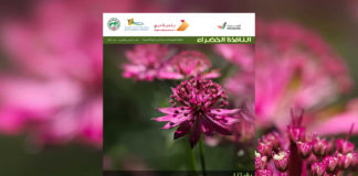 العدد الخامس والثمانون من نشرة “النافذة الخضراء” النافذة الخضراء