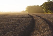 المغرب يخطط لتوسيع مشاريع تحلية مياه البحر المغرب يفتتح «بنكاً جينياً» لمكافحة التصحر
