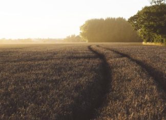 المغرب يفتتح «بنكاً جينياً» لمكافحة التصحر المغرب يفتتح «بنكاً جينياً» لمكافحة التصحر
