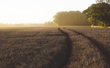 المغرب يخطط لتوسيع مشاريع تحلية مياه البحر المغرب يفتتح «بنكاً جينياً» لمكافحة التصحر