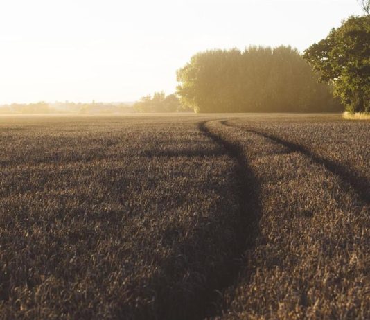 المغرب يخطط لتوسيع مشاريع تحلية مياه البحر المغرب يفتتح «بنكاً جينياً» لمكافحة التصحر