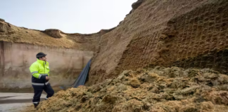 هل تحلّ الطاقة من المواد العضوية الأزمة العالمية؟ نفايات عضوية غاز حيوي