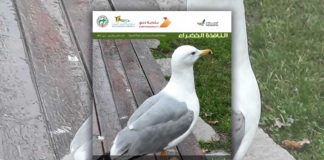 العدد الثامن والثمانون من نشرة “النافذة الخضراء” النافذة الخضراء