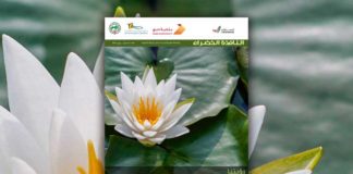 العدد التسعون من نشرة “النافذة الخضراء” النافذة الخضراء