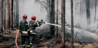 التعرض لدخان الحرائق قد يؤثر على الجهاز المناعي، حتى لدى الأفراد الأصحاء