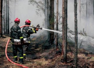 التعرض لدخان الحرائق قد يؤثر على الجهاز المناعي، حتى لدى الأفراد الأصحاء
