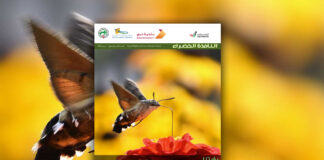 العدد الثالث والتسعون من نشرة “النافذة الخضراء”