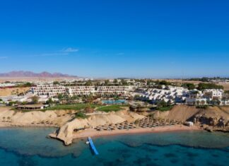 مصر: بدء تشغيل أكبر محطة شمسية في شرم الشيخ