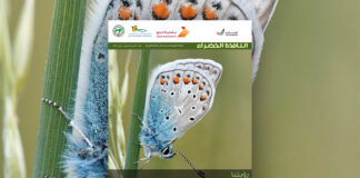 العدد الثامن والتسعون من نشرة “النافذة الخضراء”