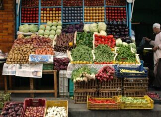 تقرير أممي يحذر من تسارع انعدام الأمن الغذائي في المنطقة العربية نظرة إقليمية عامة حول حالة الأمن الغذائي والتغذية في الشرق الأدنى وشمال أفريقيا لعام 2022