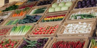 تغير المناخ: محاصيل مهددة بالانقراض على كوكب الأرض