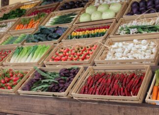 تغير المناخ: محاصيل مهددة بالانقراض على كوكب الأرض