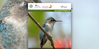 العدد التاسع والتسعون من نشرة “النافذة الخضراء”