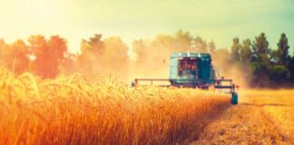 الأمن الغذائي العربي في ظل تهديدات الاحتباس الحراري الأمن الغذائي العربي