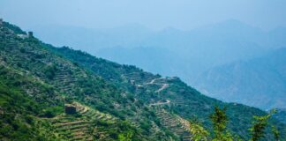 برنامج الأمم المتحدة للبيئة يعلن استضافة السعودية لليوم العالمي للبيئة 2024